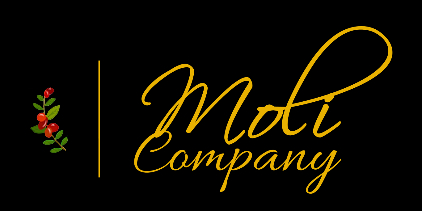 logo moli company mai2022
